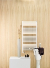 Zehnder Zeno Badheizkörper 60 x 118 cm weiß RAL 9016; 600 x 1184 x 30 -